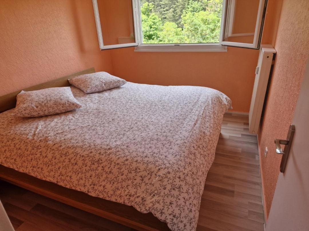 דיז'ון Appartement Motte Giron מראה חיצוני תמונה